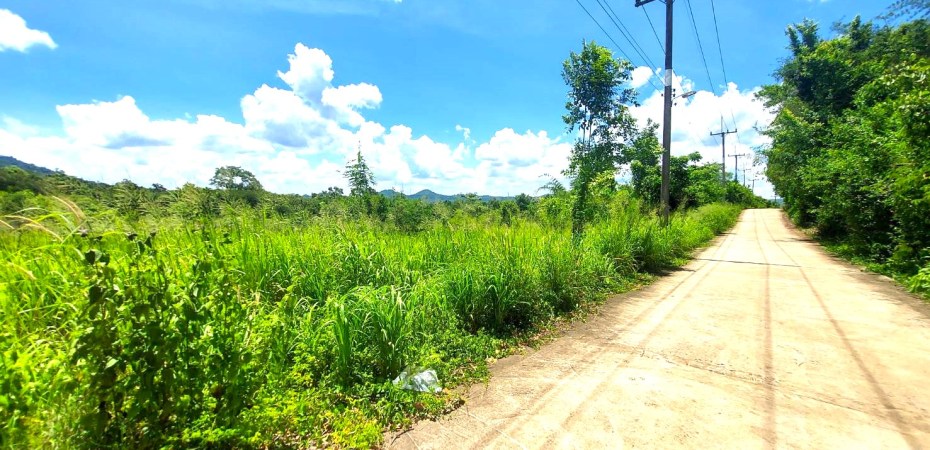 ขายที่ดินจันทบุรี คุณปลารสริน นายหน้า