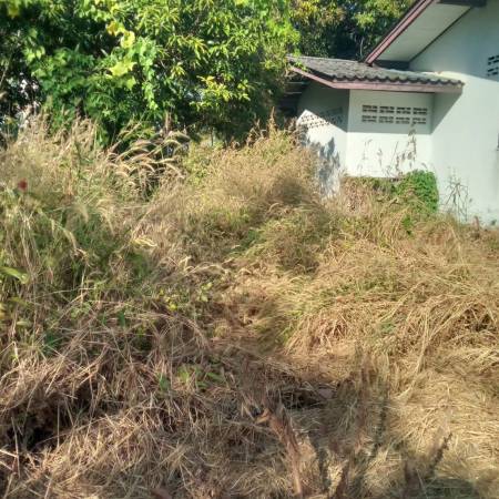 A2423 ขายที่ดิน แหลมสิงห์ จันทบุรี