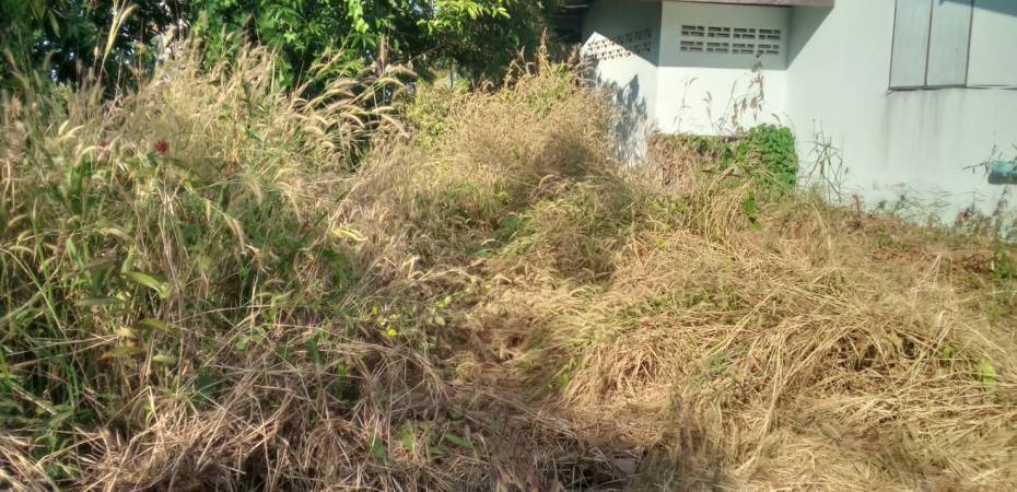 A2423 ขายที่ดิน แหลมสิงห์ จันทบุรี