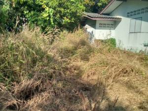 A2423 ขายที่ดิน แหลมสิงห์ จันทบุรี