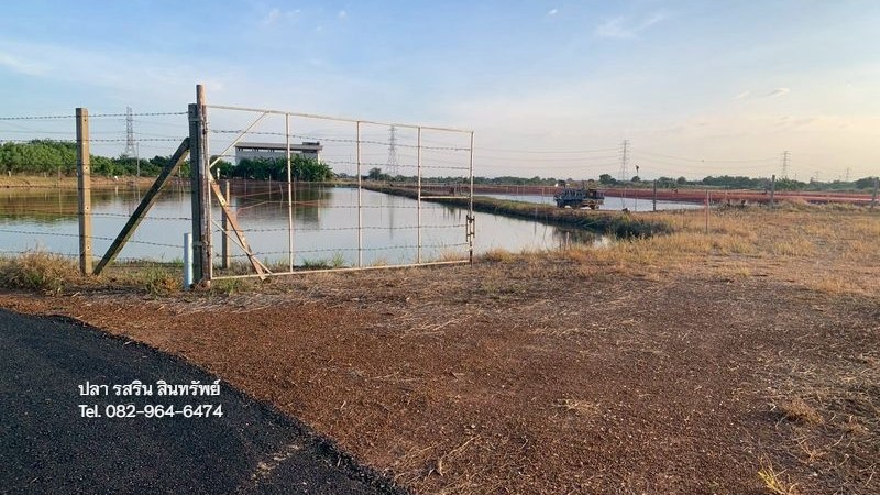 R165 ขายที่ดิน มีบ่อกุ้ง 4 บ่อ บ้านโพธิ์ – ฉะเชิงเทรา