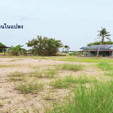 โทร 082-964-6474 ปลา รสริน Line ID 96917 Facebook รสริน สินทรัพย์ https://www.facebook.com/rosrinasset #บริษัทรับฝากขายบ้าน #บริษัทรับฝากขายอสังหา #รับฝากขายบ้านที่ดิน #ที่ดินหนองเหียง #พนัสนิคม #ที่ดินชลบุรี #ขายที่ดิน #ลงทุนอสังหาฯ #คุณปลารสริน #รสรินสินทรัพย์